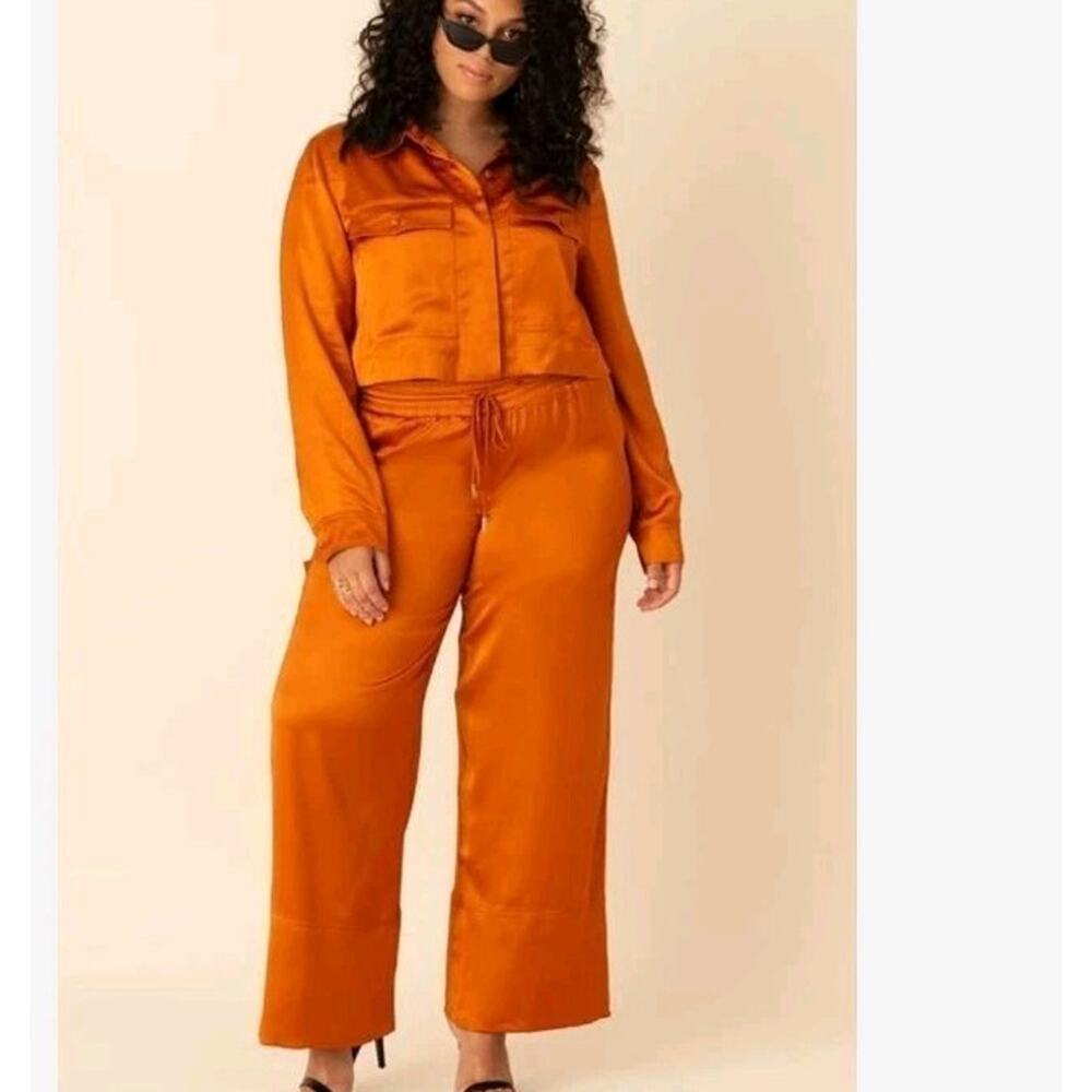 Choosy Burnt Orange 18 Pull OnPants Satin Wide Leg Issa NWT - Picture 5 of 6
